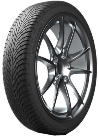315/30R21 105V MICHELIN PILOT ALPIN 5 XL